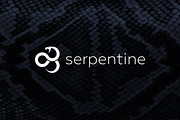 Serpentine Logo, a Branding & Logo Template by GLXY (Thumbnail 1 of 4)
