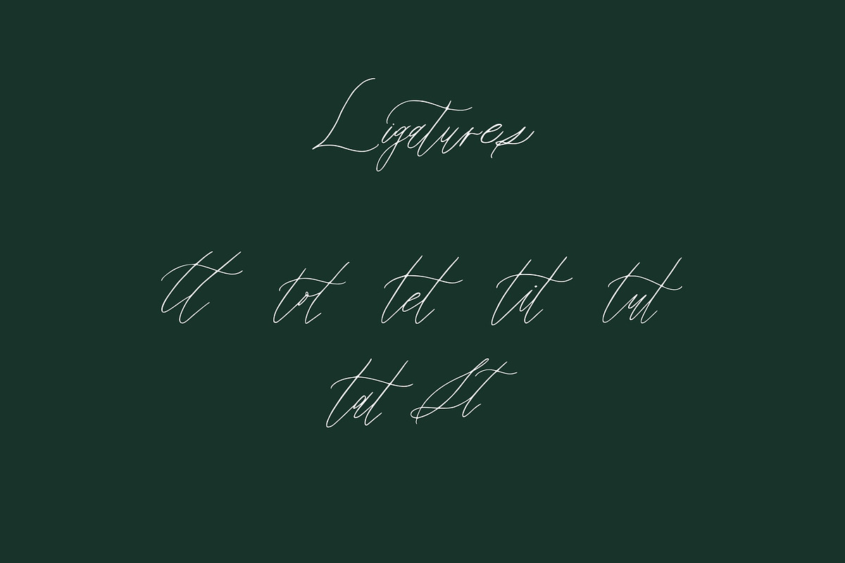 Grace - A Modern Calligraphy Font, a Script Font by BohoCalligraphy (Photo 4 of 11)