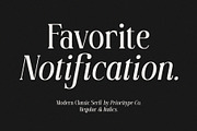 Favorite Notification, a Serif Font by Prioritype Co (Thumbnail 22 of 43)