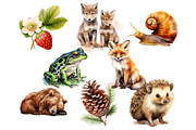 Woodland Animals Clipart Bundle, an Animal Illustration by Mash Mash Stickers (Thumbnail 4 of 9)