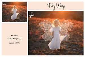 40 Fairy Wings PS Overlays