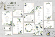 Juniper Wedding Suite, an Illustration by Elena Medvedeva (Thumbnail 1 of 7)
