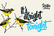 Roster Script + Extras (35% OFF), a Script Font by Fenotype (Thumbnail 6 of 20)