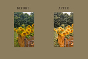 RUSTIC GARDEN EDITORIAL PRESETS, a Preset Add-On by Yulia Furman (Thumbnail 5 of 8)