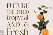 Ankadi Serif, a Serif Font by Creative Foundry (Thumbnail 3 of 8)