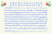 Tender Natural Handwritten Ink Font, a Script Font by Letterena Studios Script (Thumbnail 9 of 10)