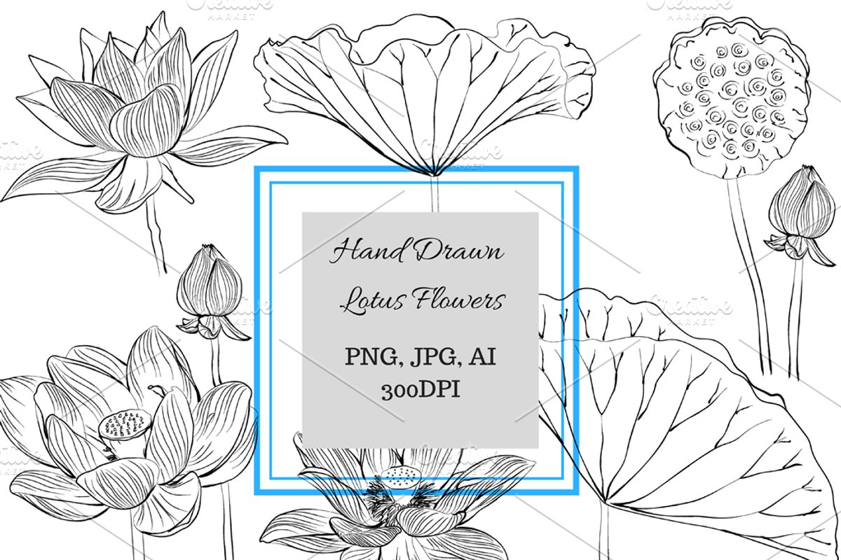 Lilies and Lotus Florals, an Object Graphic by VictoriaKStudio (Photo 2 of 10)