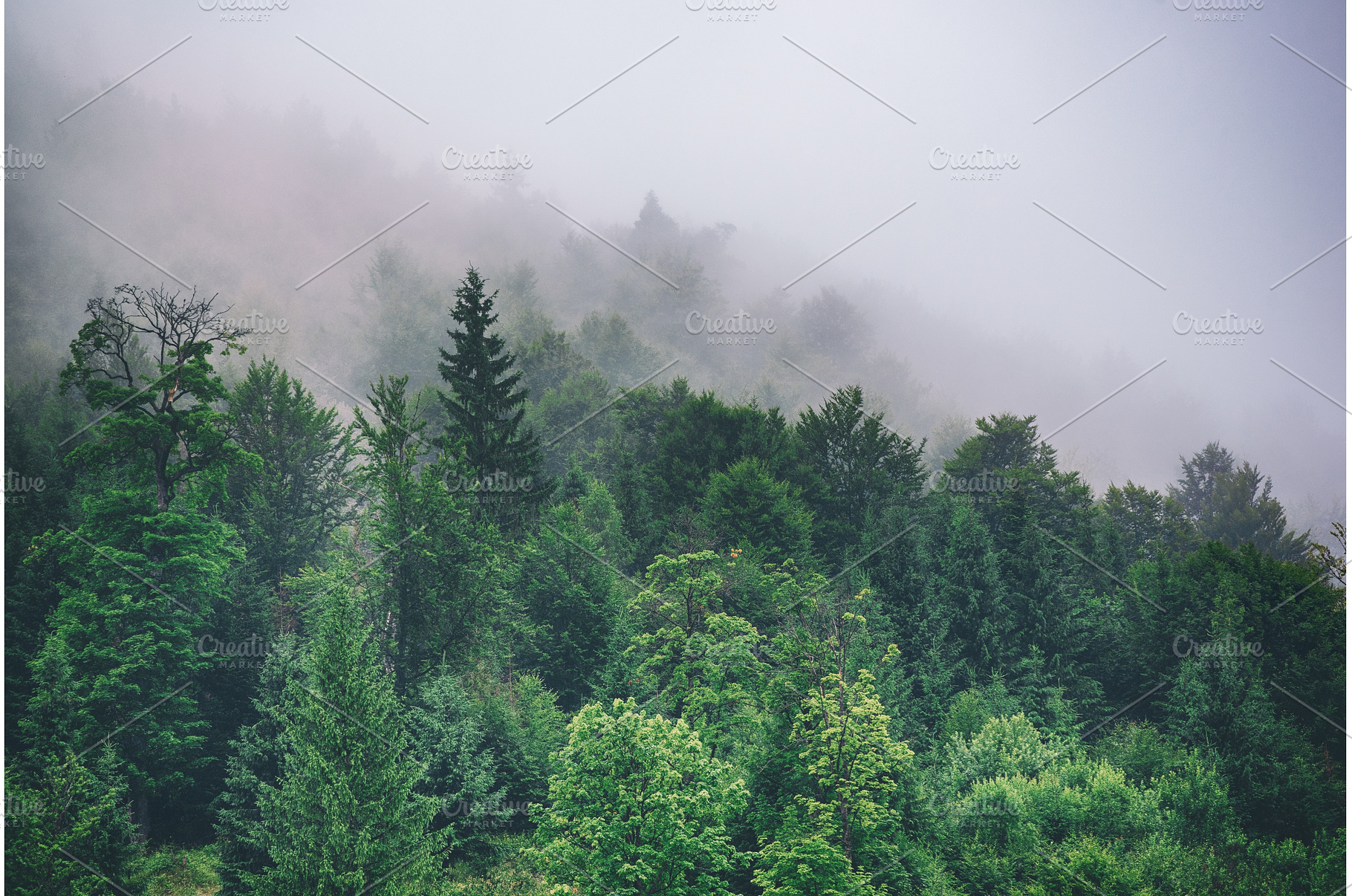 Misty mountain landscape, a Nature Photo by Nature and travel
