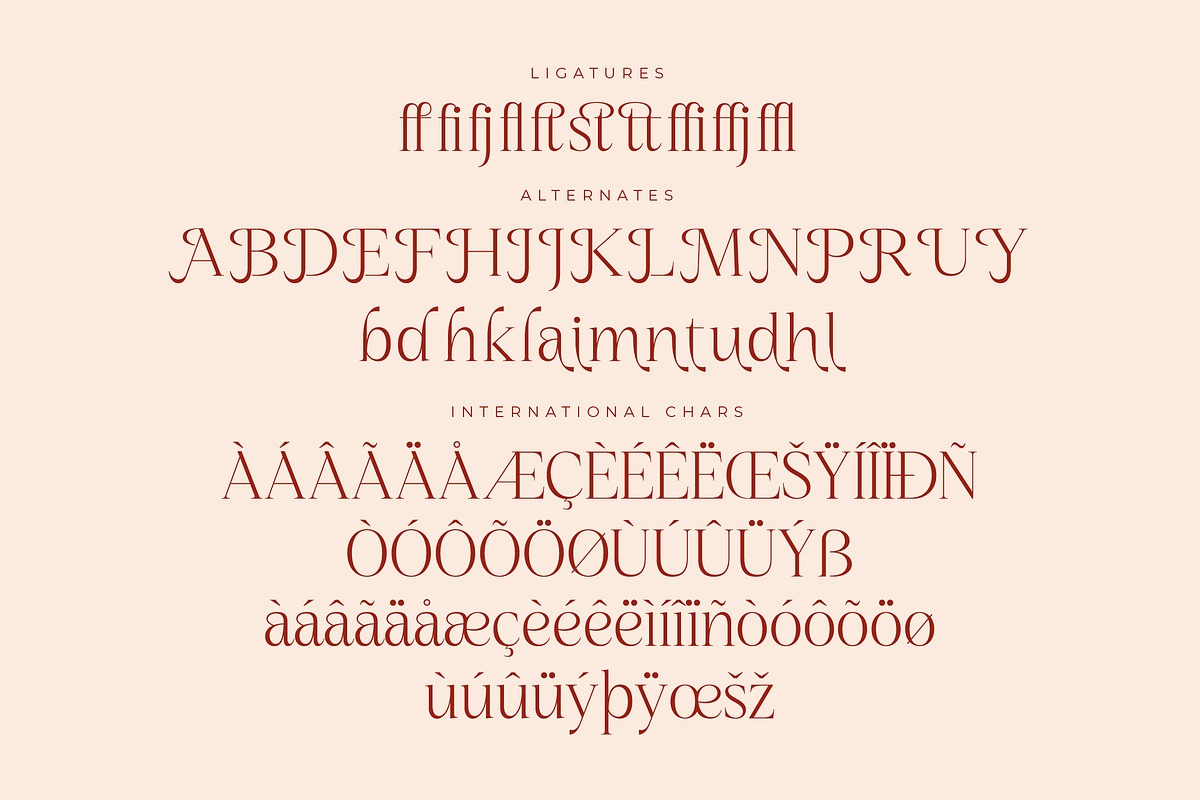 Nagista Modern Serif Font, a Serif Font by Letterena Studios (Photo 13 of 15)