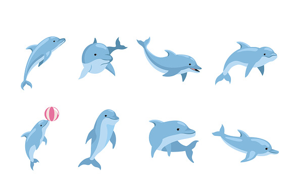 Dolphin Animal Illustration Set preview 2