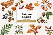 Autumn Leaves Watercolor Clipart PNG, a Seasonal Illustration by SandraGraphicDesign (Thumbnail 1 of 5)