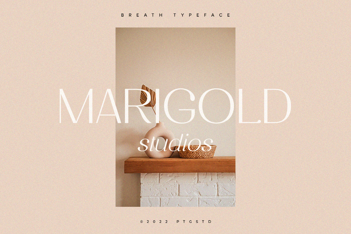 Breath | Modern Ligature Serif, a Serif Font by Pentagonistudio (Photo 6 of 11)