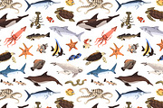 Fishes set + sea life backgrounds, an Animal Illustration by PaperTrident (Thumbnail 7 of 8)