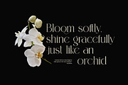 Roman Elegant Ligature Serif Font, a Serif Font by Graphicxell (Thumbnail 6 of 8)