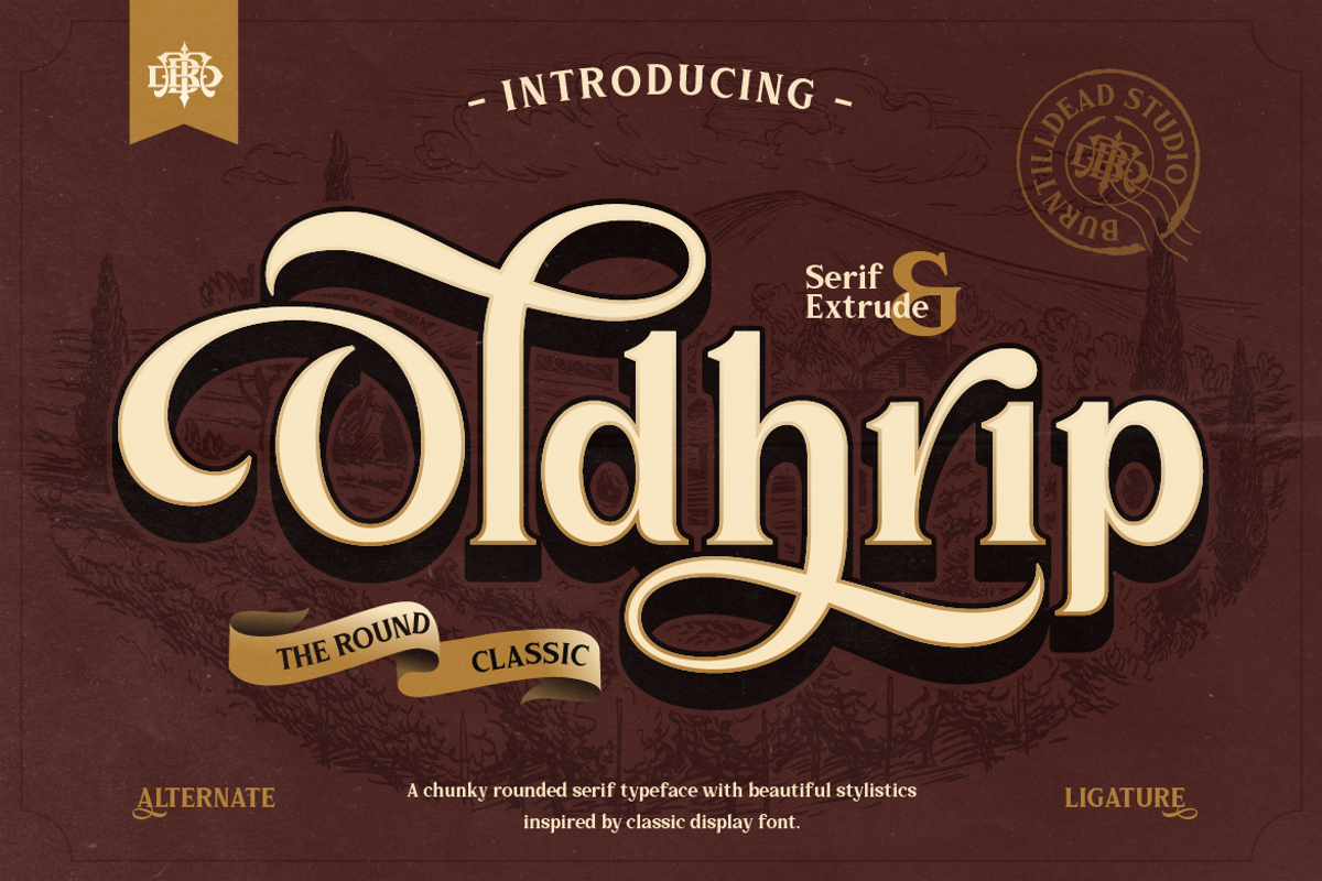 Oldhrip - Classic Serif, a Serif Font by Burntilldead (Photo 1 of 12)