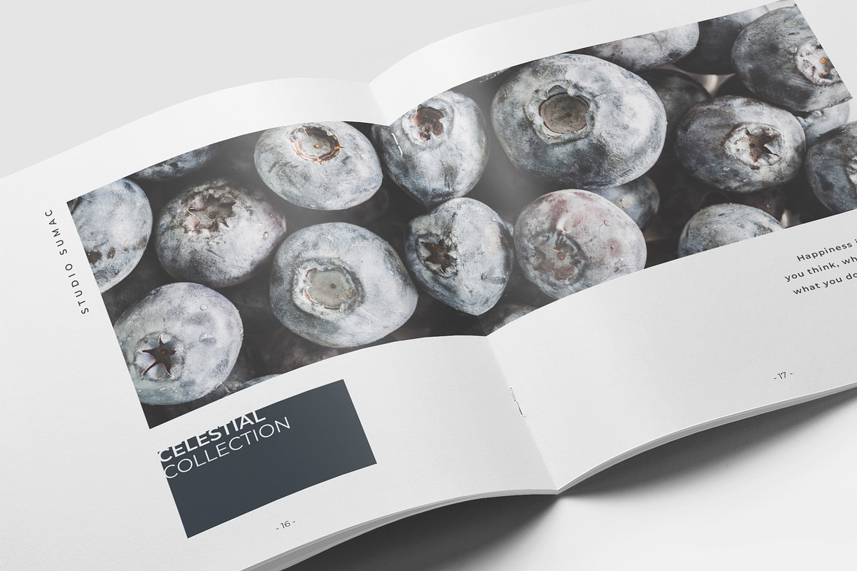 Hickory Lookbook Template, a Brochure Template by Studio Sumac (Photo 2 of 7)