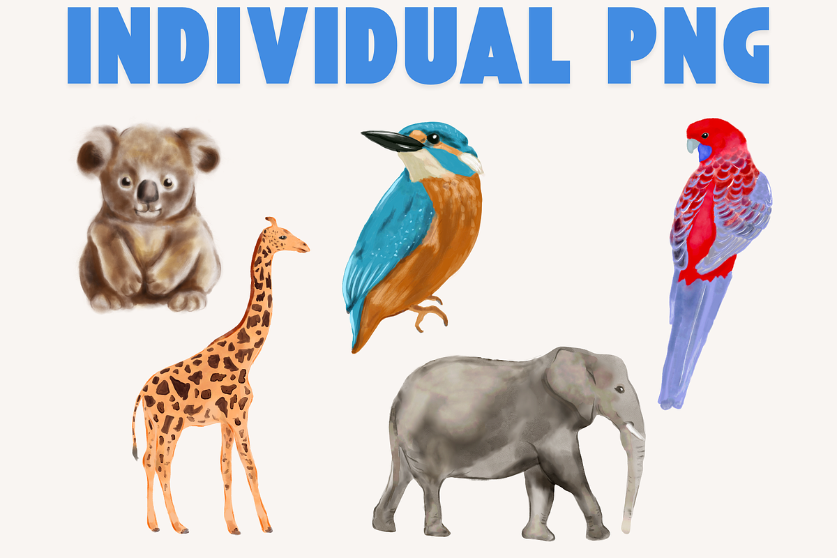 Wildlife Animals Set, an Animal Illustration by AMMi (Photo 2 of 4)