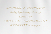 Blink Signature Calligraphy Font, a Script Font by Pen Culture (Thumbnail 5 of 6)