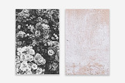 Lifestyle Bundles Collection 3, a Photo by Floral Deco (Thumbnail 40 of 48)