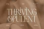 Amarisa - Luxury Editorial Font, a Serif Font by Sensatype (Thumbnail 4 of 12)
