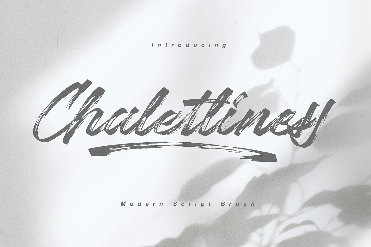 Chaletliness | Modern Script Brush, a Script Font by Madhaline Studio (Photo 15 of 15)