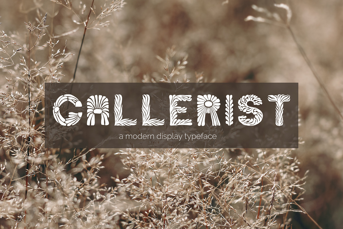 Matisse, Display Font in 2 colors, a Handwritten Font by DearLetters (Photo 8 of 15)