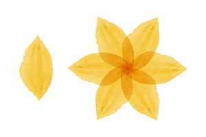 Soft yellow watercolor flower with, an Object Illustration by okskukuruza