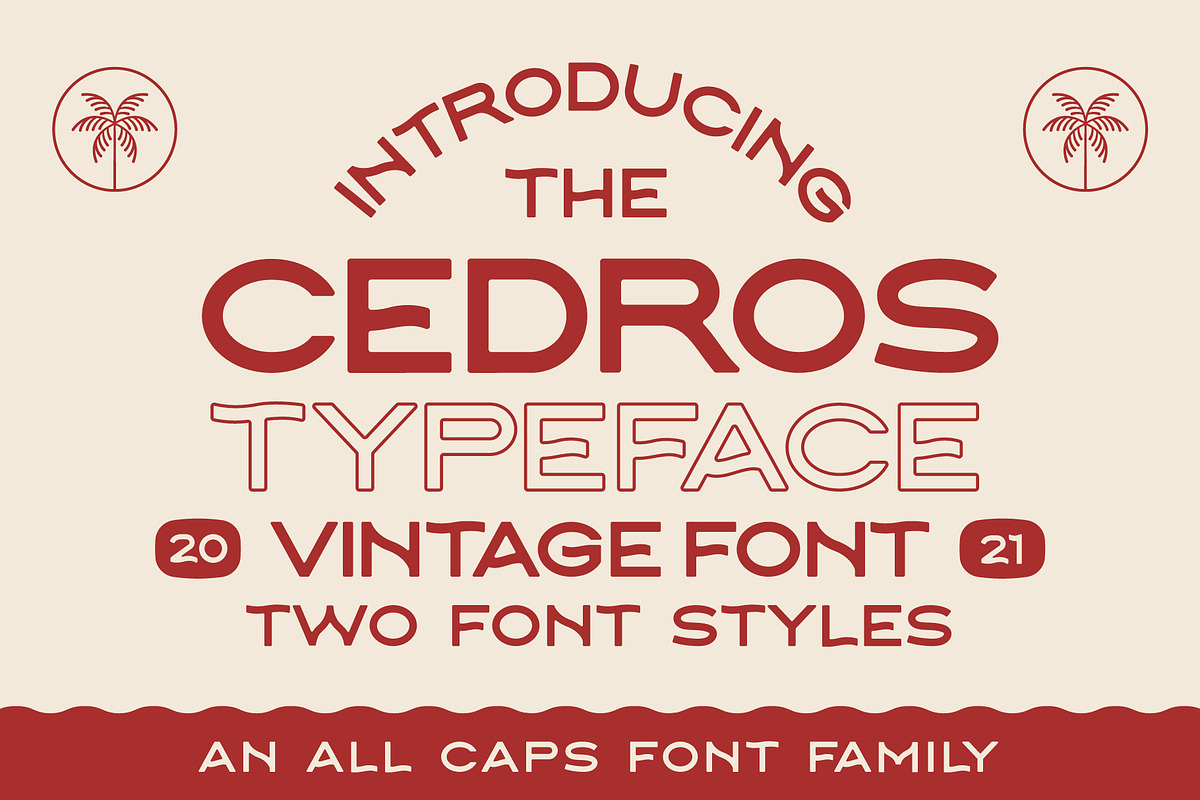 Cedros Typeface, a Sans Serif Font by NienowBrand (Photo 1 of 5)