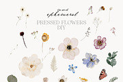 The Art of Ephemeral, an Illustration by Isabelle Salem (Thumbnail 5 of 12)