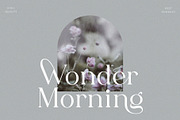 Fligen - Stylish Serif, a Serif Font by BrandSemut (Thumbnail 4 of 10)