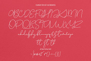 Christie Dianna Valentine Font, a Script Font by Maulana Creative (Thumbnail 8 of 10)
