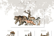 Autumn Forest. Watercolor set, an Animal Illustration by Kreker Kate (Thumbnail 4 of 9)