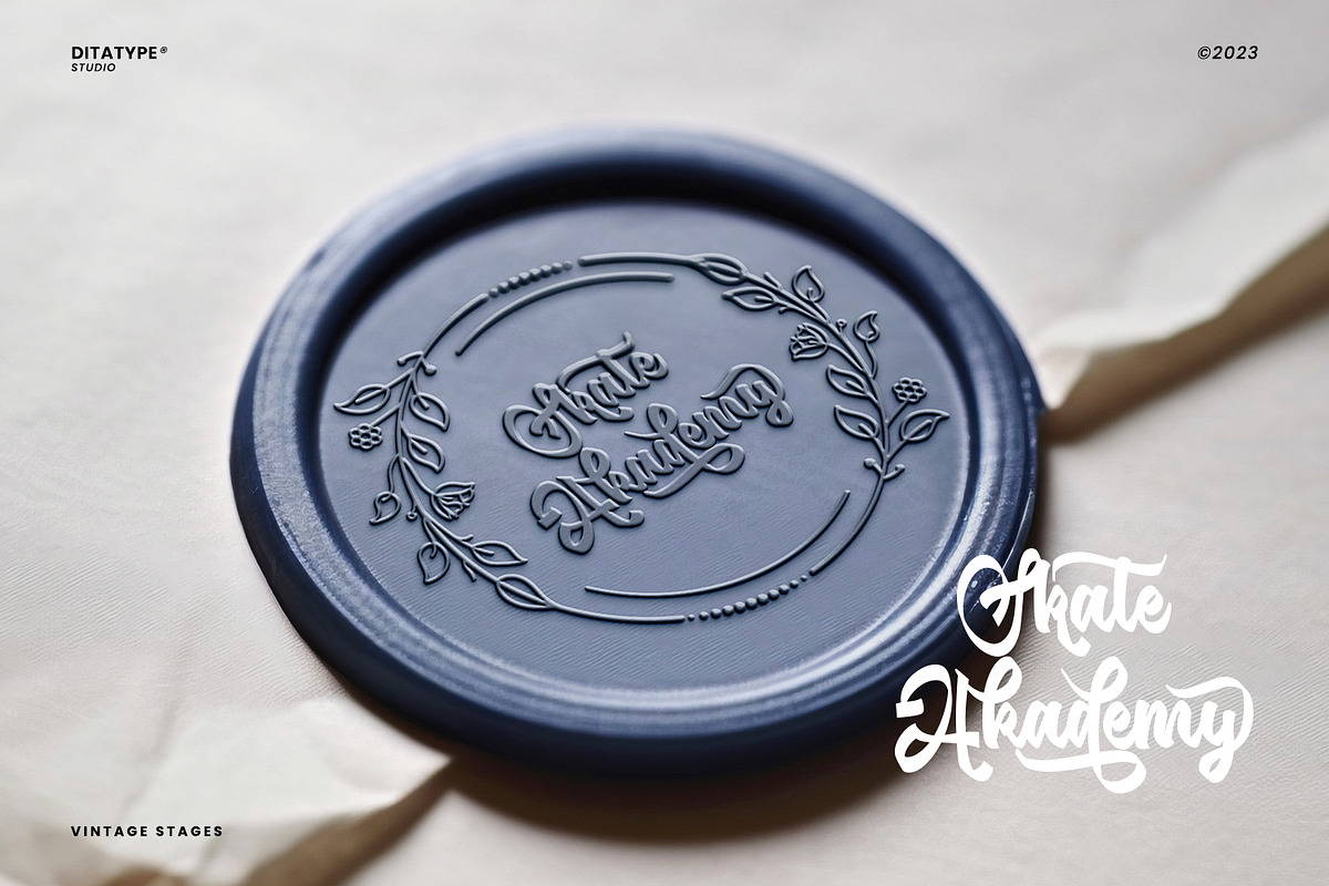 Vintage Stages, a Script Font by Ditatype (Photo 3 of 11)