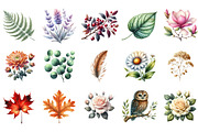 Florals and Woodland Clipart, an Illustration by Designking (Thumbnail 2 of 5)