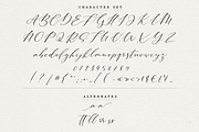 Adelmo - Pretty Script, a Script Font by Quothron (Thumbnail 6 of 7)
