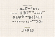 ELASTIQUE STYLO | Font Family, a Handwritten Font by type peace (Thumbnail 15 of 18)