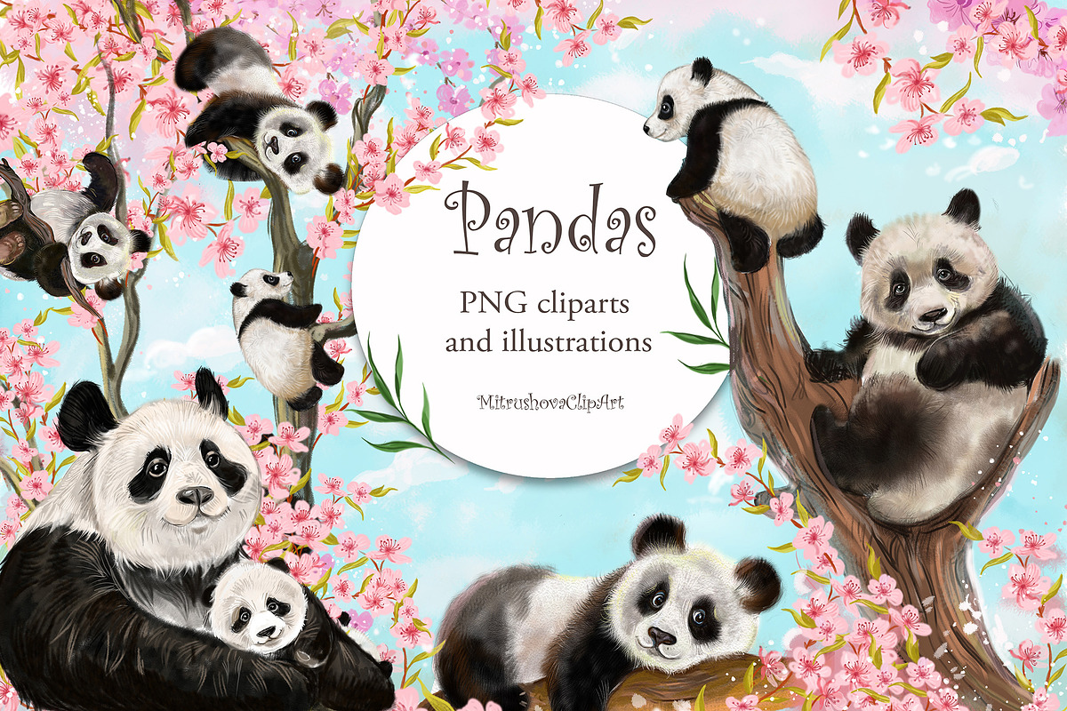 Panda clipart, PNG Amimals, an Animal Illustration by MitrushovaArt (Photo 1 of 8)