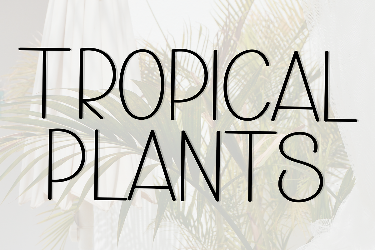 Tropical Handmade, a Serif Font by InermediaSTUDIO (Photo 4 of 8)