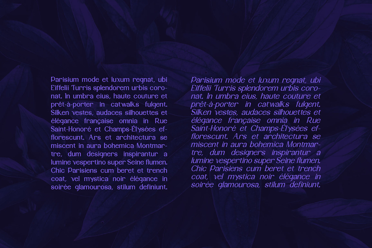 Monquerta, a Serif Font by Dhwstd (Photo 6 of 6)