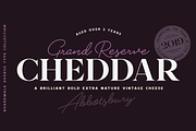 Boardwalk Avenue, a Serif Font by Fenotype (Thumbnail 9 of 17)
