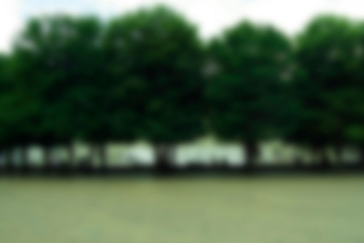 8 Blurred Landscape Images preview 5