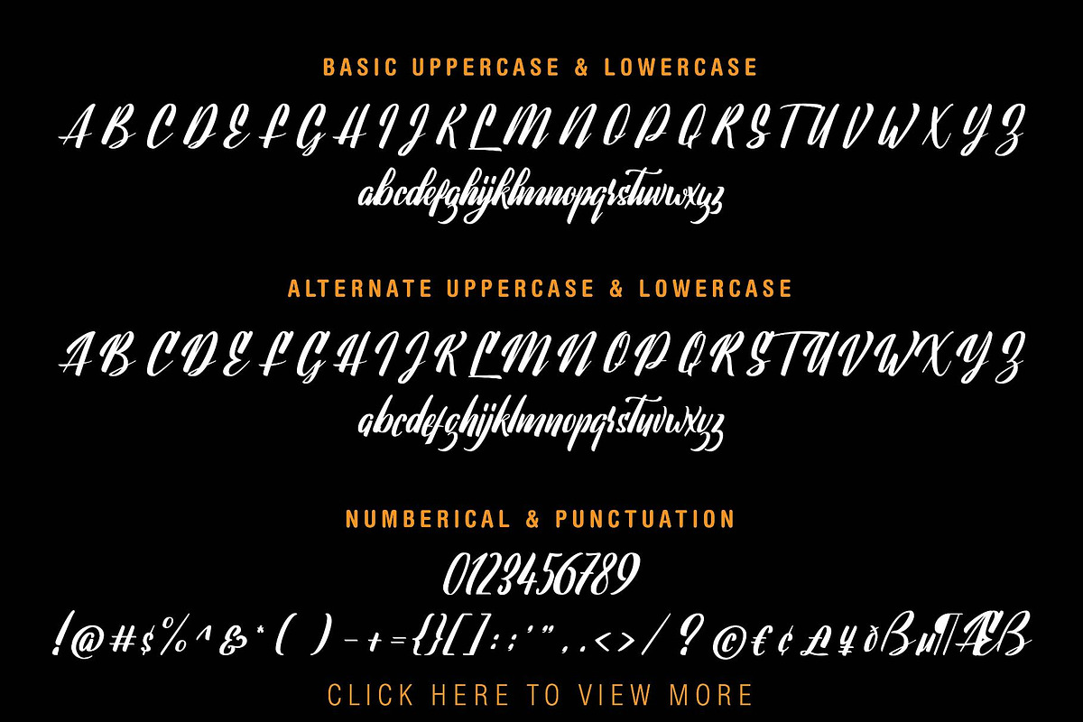 Lavalette Script, a Script Font by SemutHitam Creative (Photo 9 of 9)