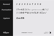 The Haspier Straight Script Font, a Script Font by Skillyas_Studio (Thumbnail 8 of 10)