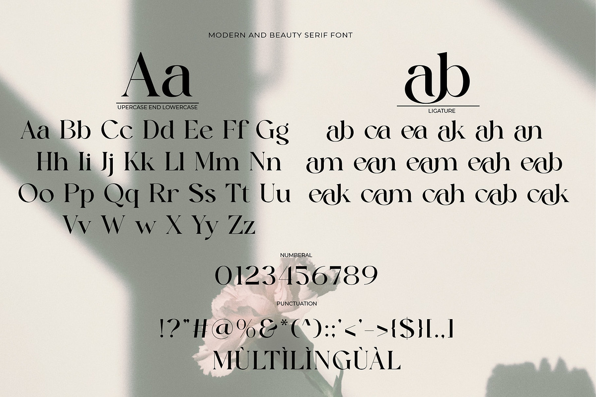 Kamean - Modern And Beauty Serif, a Serif Font by Muflieart (Photo 8 of 8)
