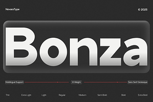 NV Bonza – Modern Sans Serif Family