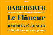 XXII Elissa, a Serif Font by Doubletwo Studios (Thumbnail 15 of 25)