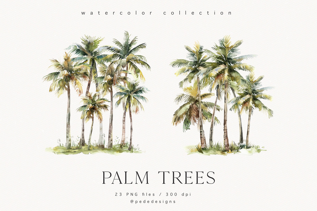 Palm Trees, a Decorative Illustration by PeDe Designs