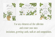 Cherokee rose clipart pattern set, a Decorative Illustration by Yelloo Fish (Thumbnail 6 of 21)