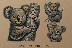 Koala