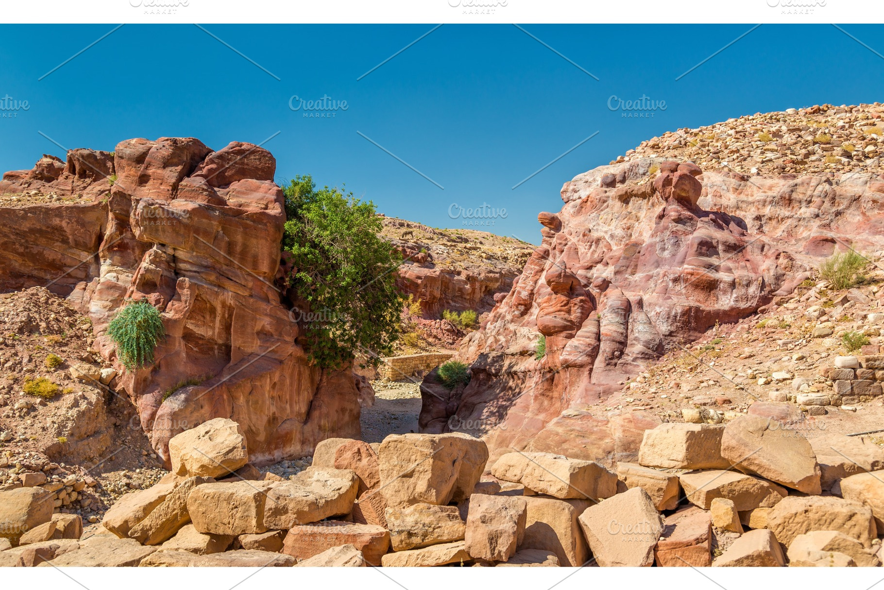 View of sandstone rocks at petra featuring jordan, rock, and petra, an Architecture Photo by Leonid Andronov